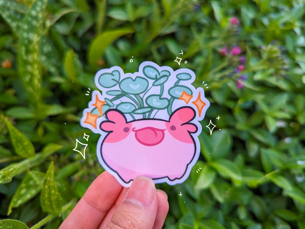 Cute Animal Planter Stickers [Ft. Calico, Whale, Axolotl, Frog!] Succulents, Herbs, Florals